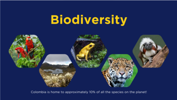 Screenshot from 2025-11-24 15-09-52.png