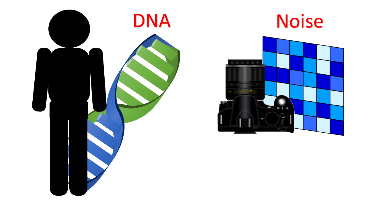 It is known that DNA and finger print are useful for identifying a human. A camera also has unique noise and it is included in an image taken by the camera though it is very small. By using the unique noise, we can know which camera took an image and which part was falsified in an image. In this research project, we aim to realize methods to extract the unique noise precisely in an image and their applications. <br> 