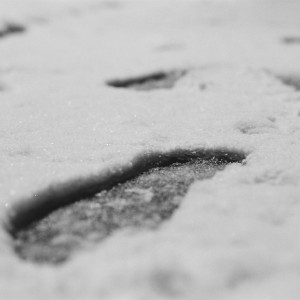 Snow: footprint